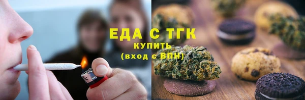 гашик Бородино