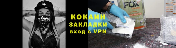стаф Богданович