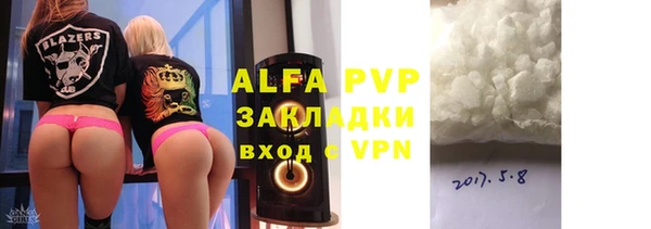 стаф Богданович