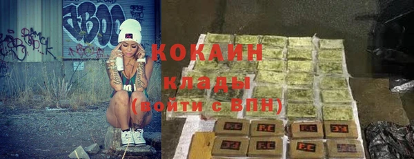 стаф Богданович