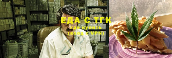 тгк Богородицк
