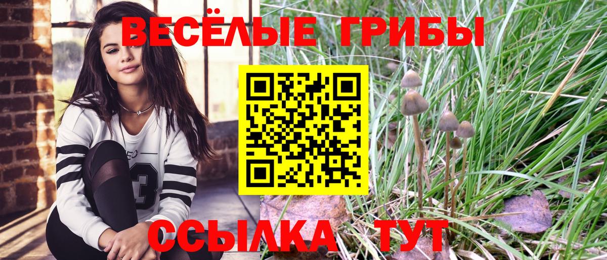 Среднеуральск  Псилоцибиновые грибы Psilocybine cubensis  Псилоцибиновые грибы MAGIC MUSHROOMS  Вход с VPN 